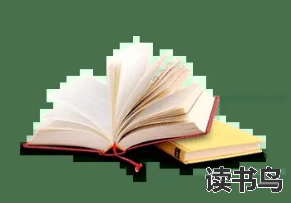  读书鸟：高中生学习攻略—化学