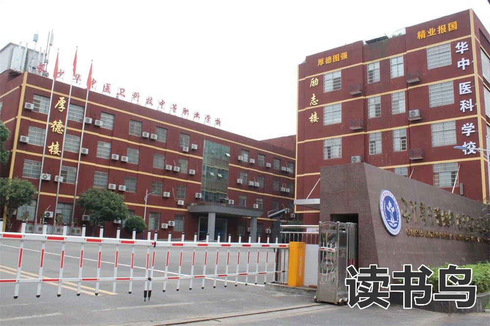 长沙国际学校(盘点长沙国际学校哪所好)