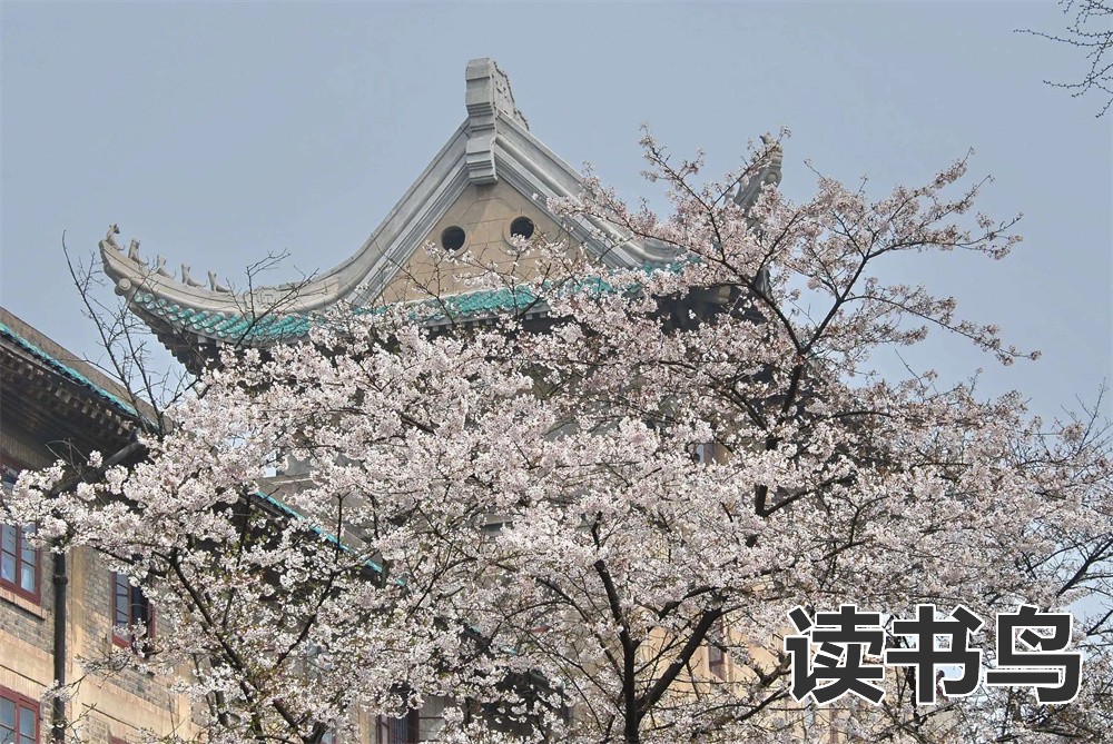 北京日语国际学校（北京日语国际学校有哪些）