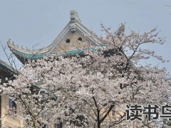 北京日语国际学校（北京日语国际学校有哪些）