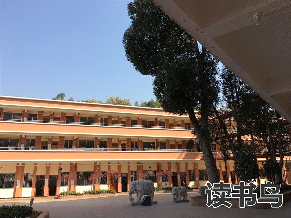 技校下学期退学可以去读中专吗？(技校下学期退学)