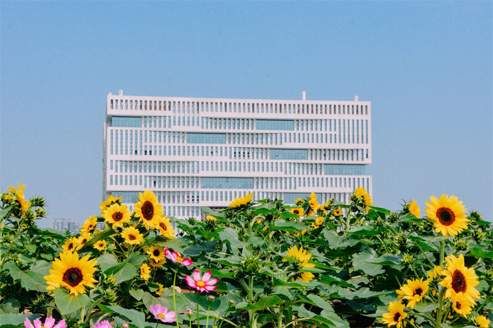 湖南祁阳复读学校（祁阳市第一中学）