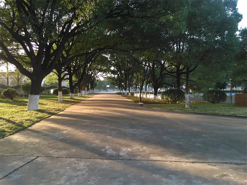 长沙云翼高考复读学校（长沙复读学校）