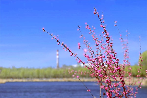 澳门留学博士申请条件及流程，澳门硕士留学申请条件要求,